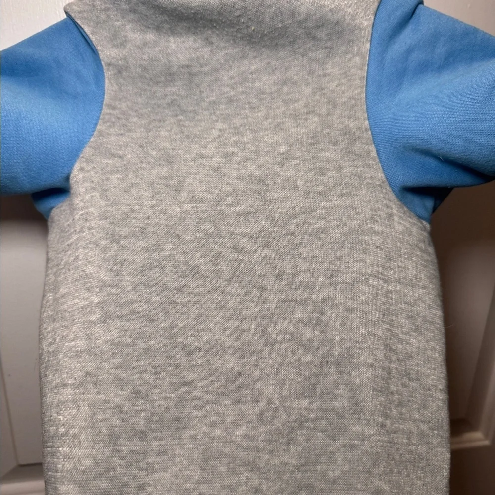 Gray and Blue Dog Hoodie